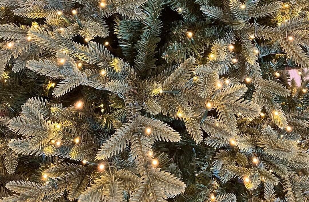 Christmas-services-in-carlsbad